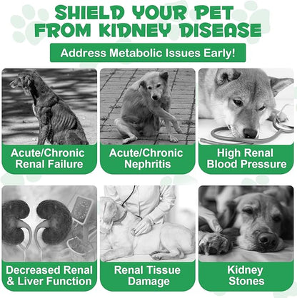 Kidney Support for Dogs, Kidney Support Herbal Supplement Drops Supports Healthy Kidney Function & Urinary Tract Health in Dogs Restoring Normal Appetite 2 oz