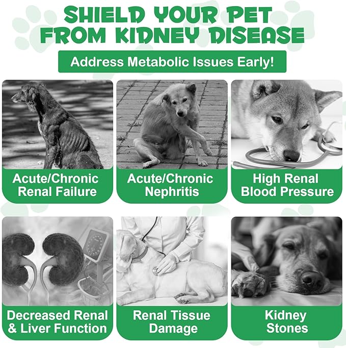 Pet Kidney Support for Dogs, Veterinarian Formulated, Supports Healthy Kidney Function in Dogs, Promotes Overall Physical Health and Vitality, Herbal Supplement, Easy to Absorb, 2 oz