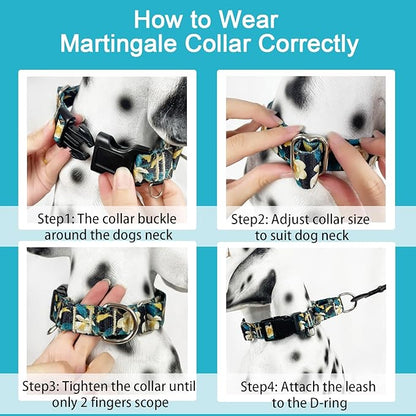 Martingale Collar for Dogs Floral Dog Collars for Small Medium Large Dogs with Buckle Adjustable Soft Nylon Dog Collar (Luxury Golden Flowers, Small)