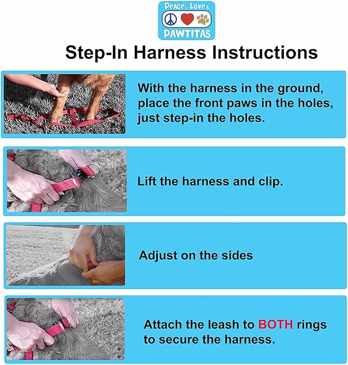 Pawtitas Multicolor Step-in Dog Harness – Adjustable No-Pull Vest for Puppies to Seniors, Safe & Comfortable S Pink/Blue/Teal/Green