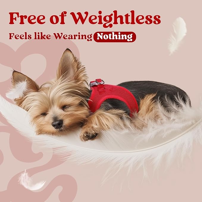 rabbitgoo Small Dog Harness, Step-in Soft Mesh Puppy Vest with Safety Buckle, Breathable Reflective Pet Harness for Small Sized Dogs, Red M