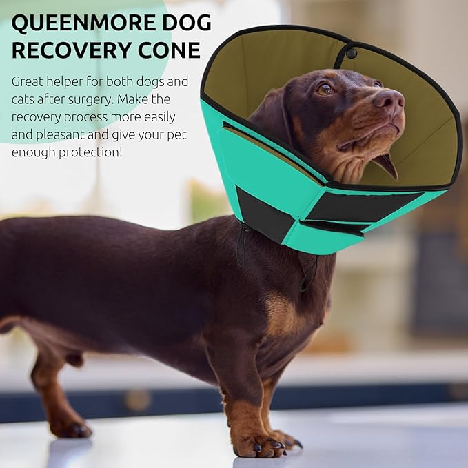 Queenmore Dog Cone, Soft Dog Cones for Large Dogs, Dogs Cone Collar After Surgery for Neutering, Breathable Pet Cone, Adjustable E-Collar Alternative to Stop Licking, Green XL