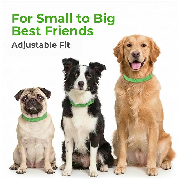 FurLife Flea and Tick Collar for Dogs – Waterproof Grey Dog Collar, Pet Supplies for Tick and Flea Prevention for Dogs, Safe for All Breeds