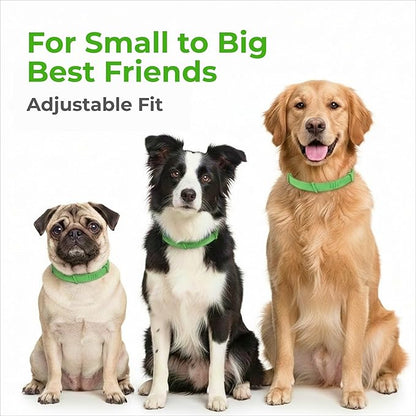 FurLife Flea and Tick Collar for Dogs – Waterproof Grey Dog Collar, Pet Supplies for Tick and Flea Prevention for Dogs, Safe for All Breeds