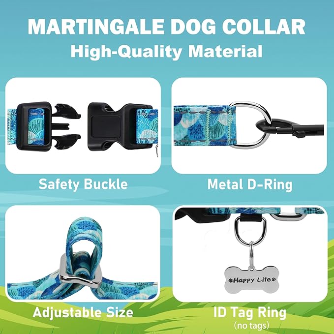 Reflective Martingale Collar with Buckle Adjustable Nylon Training Pet Collars for Small Dogs (Turquoise Shell, S)