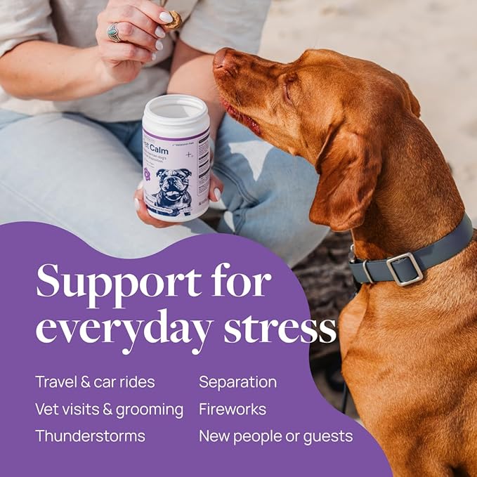 Veterinary Formula Pet Calm 120ct – Vet-Formulated Calming Chews for Dogs with L-Theanine, L-Tryptophan for Behavior Support, Relaxation Treats, Puppy Chews for Stressful Situations, Dog Calming Aid