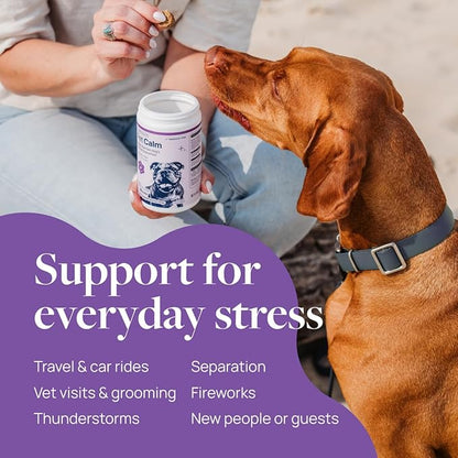 Veterinary Formula Pet Calm 120ct – Vet-Formulated Calming Chews for Dogs with L-Theanine, L-Tryptophan for Behavior Support, Relaxation Treats, Puppy Chews for Stressful Situations, Dog Calming Aid