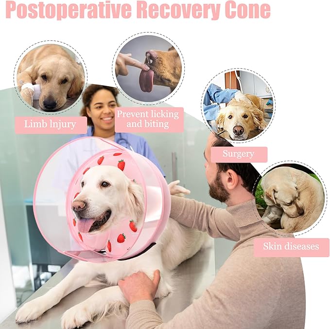 Inflatable Dog Cone Collar for Large Medium Small Dogs, Soft Dog Donut Collar Adjustable Recovery Cone for Pets After Surgery, Extra Enhanced Anti-Licking Guard Shield (Strawberry Print, Large)