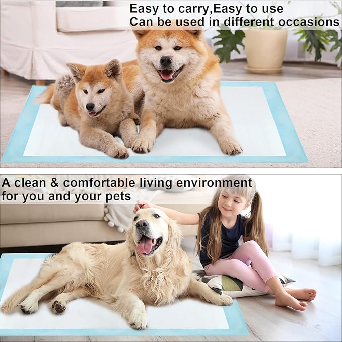 60 Count Dog Pee Pads Extra Large,32"X 36"Pet Training Pads,Disposable Pet Potty Pads Super Absorbent & Leak-Proof for House Training Cats,Rabbits,Dogs Leak-Proof Pet Pads