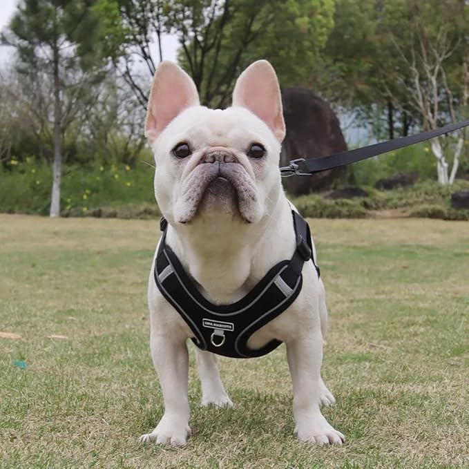 Dog Harness and Leash Set, Adjustable Triangle, Reflective Adjustable Puppy Vest, No Pull Soft Mesh Harness for Small, Medium Dogs, Cats (Black, L)