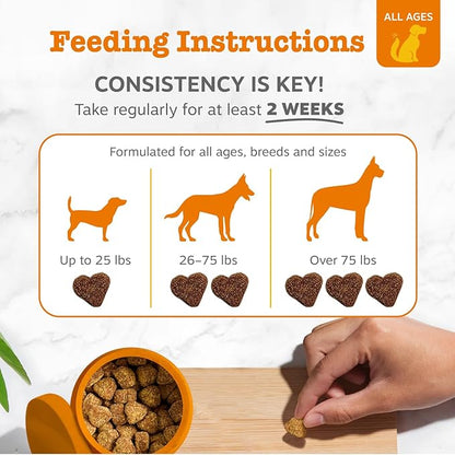 Zesty Paws Vet Strength Probiotics for Dogs, Digestive Health & Gut Flora Support, Dog Supplements, 90 Count (Pack of 2)