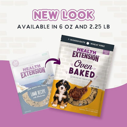 Health Extension Oven-Baked Dog Treats, Lamb Recipe – Gluten & Wheat-Free, Superfood-Infused, Crunchy Biscuits for Puppy Training (2.25 lb)