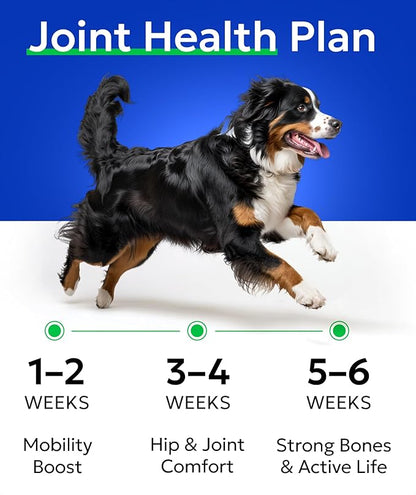 BARK&SPARK Glucosamine Chondroitin Dog Hip & Joint Supplement - Joint Pain Relief - Hip & Joint Chews - Joint Support Large & Small Breed - Senior Doggie Vitamin Pills Joint Health (120 Treats)