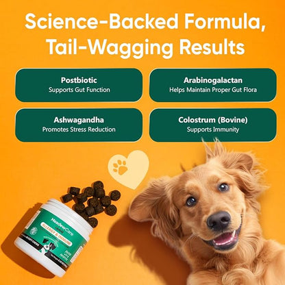 Allergies & Immune Support for Dogs | Canine Seasonal Allergy Relief & Healthy Immune System Support | Packed with Probiotics and Turmeric | 60 Soft Chews180 g (6.35 oz) | Meadowcare