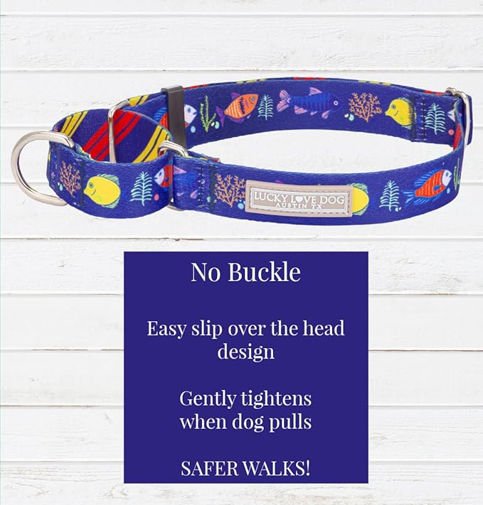 Lucky Love Dog Tropical Fish Pattern Martingale Collar and Leash Set, Blue Color No Slip Collars for Small Dogs, Great for Whippets, Greyhounds, and More (Mackey, Small - Combo)