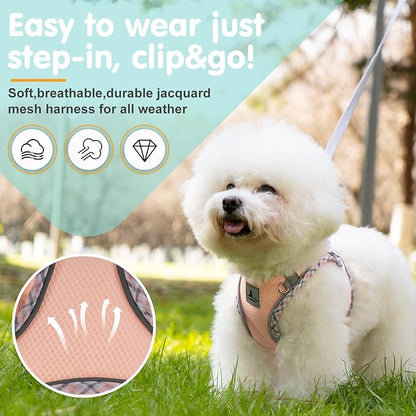 Dog Harness and Leash Set, No Pull Pet Harness for Small Dogs Easy Walking,Soft Breathable Small Dog Harness,Adjustable Reflective Step in Vest Harness for Puppy ,kitten, Cats