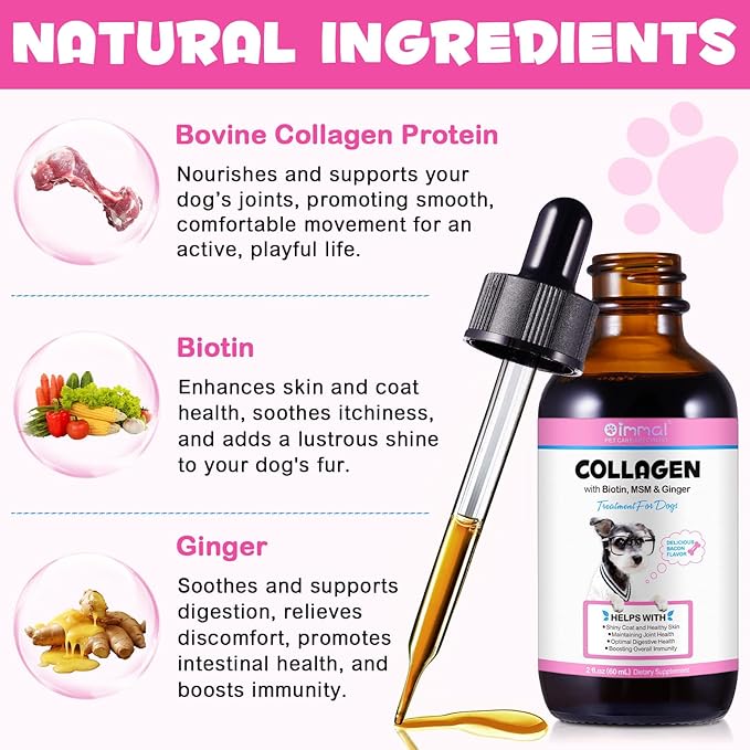Collagen for Dogs, Dog Collagen Liquid Drops with Biotin, MSM & Ginger Digestive & Immunity Support, Itch Relief, Skin & Coat and Joint Health, Dog Supplement 60ml ﻿