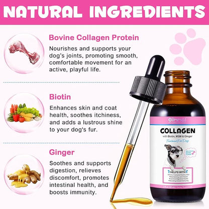 Collagen for Dogs, Dog Collagen Liquid Drops with Biotin, MSM & Ginger Digestive & Immunity Support, Itch Relief, Skin & Coat and Joint Health, Dog Supplement 60ml ﻿