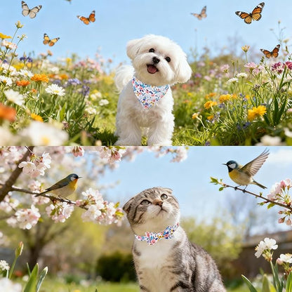 EXPAWLORER Small Collar and Leash Set - Embroidery Pawprints with Bow Tie and Bandana Collar with Bell, Soft Tangle Free Leash for Dogs Cats Outdoor Walking, Holiday Ideal Gift Blue Flowers S