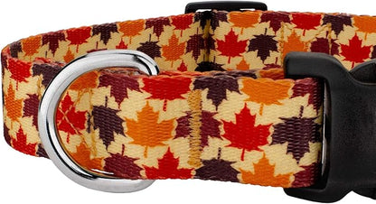 Country Brook Petz - Nature Walk Everyday Dog Collar and Leash Limited Edition - Awesome Autumn Collection Featuring Designs You Will Fall for (1 Inch, Large)