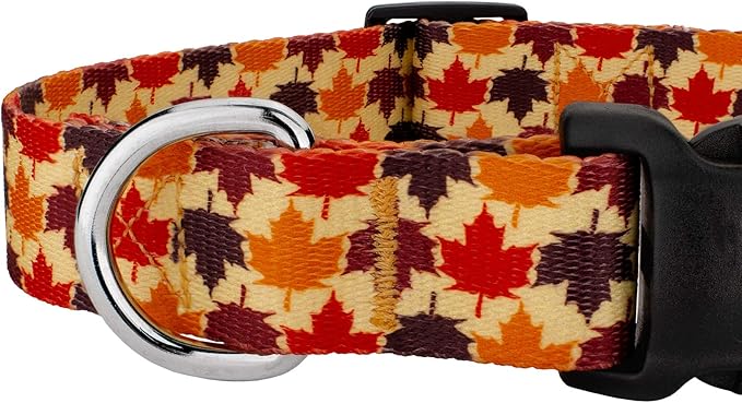 Country Brook Petz - Nature Walk Everyday Dog Collar and Leash Limited Edition - Awesome Autumn Collection Featuring Designs You Will Fall for (1/2 Inch, Extra Small)