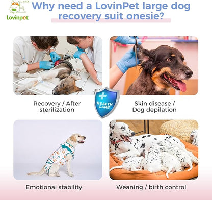 LovinPet Dog Recovery Suit for Large Medium Dogs - Bodysuit Onesie for Shedding Skin Disease Pet Pajamas Dog Anti Licking Bodysuit for Abdominal Wound After Surgery,Elephant,Green,XL