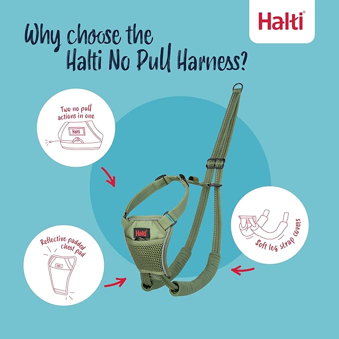 Halti No Pull Harness - Stop Your Dog Pulling on The Leash. Adjustable, Lightweight and Easy to Use. Reflective Dog Training Harness for Toy and Small Dogs (Size XS, Forest Green)