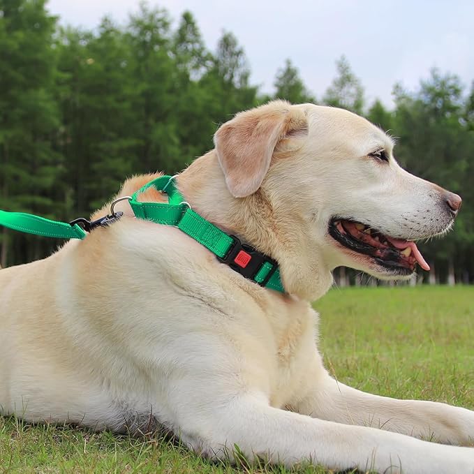 Joytale Martingale Collar for Dogs, Reflective Heavy Duty for Safety, Quick Release Buckle, Adjustable Nylon Collars for Puppy and XSmall Dogs Walking Training, Green,XS