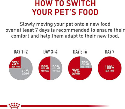 Royal Canin Canine Health Nutrition Mature Mature In Gel Dog Food, 13.5 oz (Pack of 12)