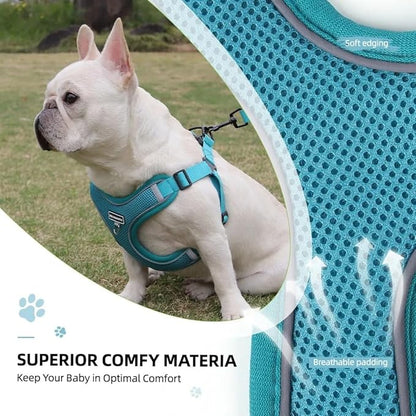 Dog Harness and Leash Set, Adjustable Triangle, Reflective Adjustable Puppy Vest, No Pull Soft Mesh Harness for Small, Medium Dogs, Cats (Turquoise, M)