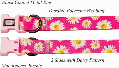 Dog Collar and Leash Set, Cute Pink Daisy Pattern, Polyester Material, 5ft Leash, for Small Dogs.(S, Daisy Set)