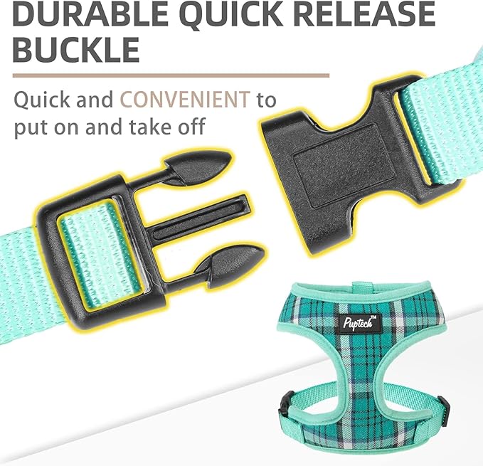 PUPTECK Soft Mesh Dog Harness and Leash Set Pet Puppy Cat Comfort Padded Vest No Pull Harnesses, Green, S
