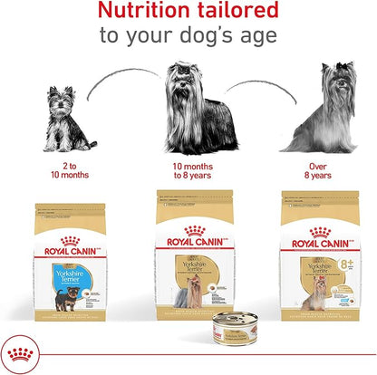 Royal Canin Breed Health Nutrition Yorkshire Terrier Adult Loaf in Sauce Dog Food, 3 oz (Pack of 6)