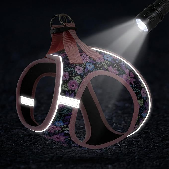 Mihqy Step in Dog Harness and Leash Set, Reflective Adjustable No Pull Dog Harness for Small Medium Dogs Puppy and Cats, Soft Padded Mesh Vest Harnesses for Girl and Boy Pets(Pink Floral,M)