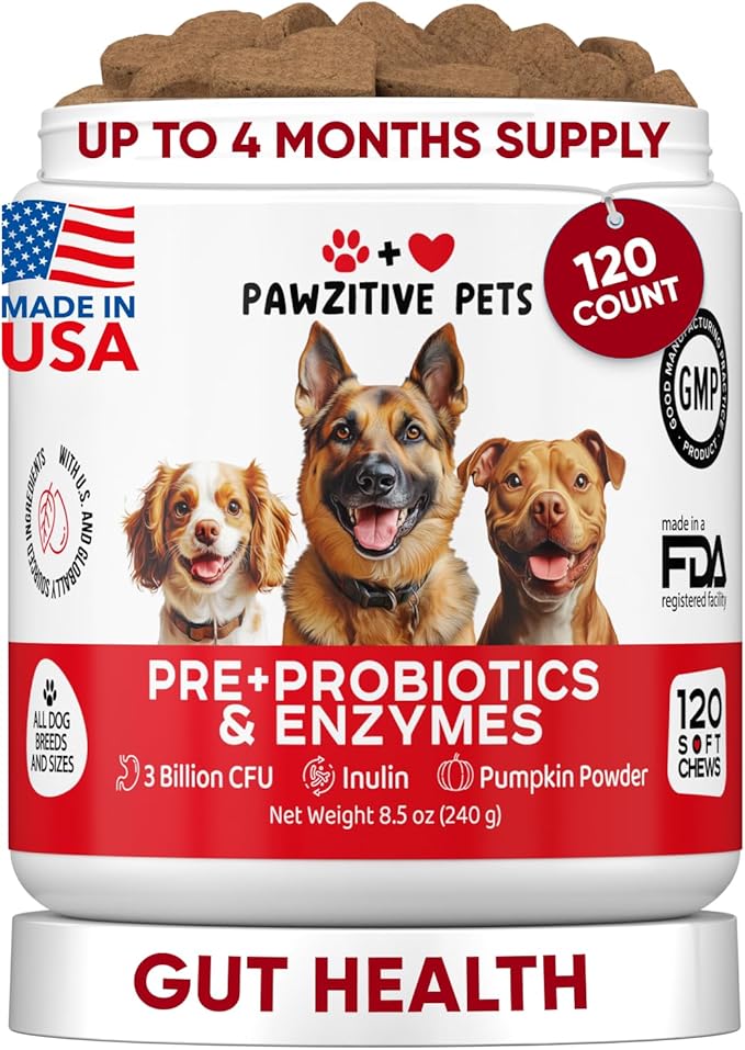 Probiotics for Dogs Digestive Health - Probiotic Chews for Gut Health, Itchy Skin Yeast, Diarrhea - USA Product - Immune Support Supplement - Dog Digestive Support & Allergy Relief Chews with Enzymes
