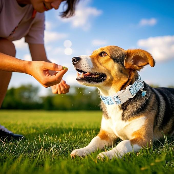 ARING PET Dinosaur Dog Collar, Blue Summer Pet Collars with Quick Release Buckle for Puppy Small Medium Large Boy Girl Dogs-S