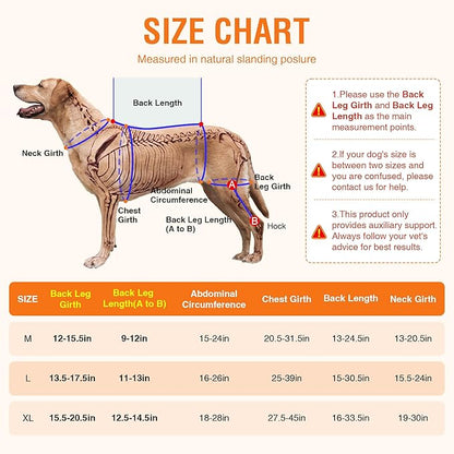 ACL Brace for Dogs – Reflective Adjustable Knee Brace for Dogs Back Leg with Hot/Cold Compress Gel Pack for Joint Pain Relief, Swelling Reduction and Rehabilitation, Left Leg, Size XL