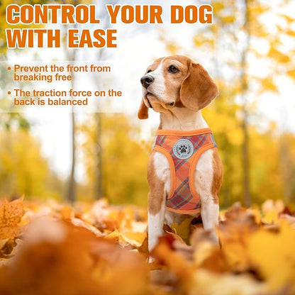 BEAUTYZOO Step in Dog Harness and Leash Set, Reflective Dog Harness No Pull No Choke Puppy Harness for Extra Small Dogs Cats, Soft Padded Mesh Vest Harnesses for Girl and Boy Pets, Orange Plaid S