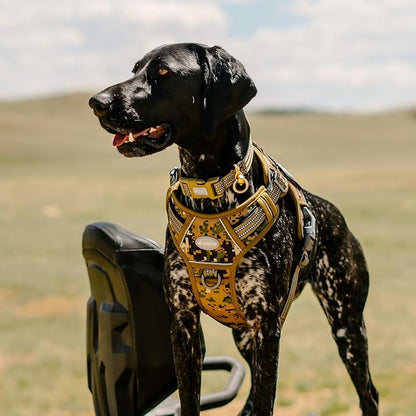 AUROTH Tactical Dog Harness for Small Medium Dogs No Pull Adjustable Pet Harness Reflective K9 Working Training Easy Control Pet Vest Military Service Dog Harnesses Woodland Camo S