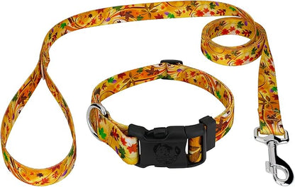 Country Brook Petz - Autumn Wind Everyday Dog Collar and Leash - Awesome Autumn Collection Featuring Designs You'll Fall for (5/8 Inch, Small)