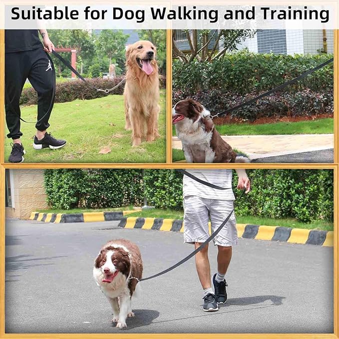 AMAGOOD 6 FT Cat Leash, Strong and Durable Traditional Style Leash with Easy to Use Collar Hook,Cat Lead Great for Cats (1" x 6 ft,Black and Black(2-Pack))
