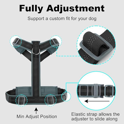 Plutus Pet No Pull Dog Harness, Adjustable Nylon Harness with Soft Padding, Reflective and Heavy Duty Dog Harness for Small, Medium, Large Dogs(Black, S)