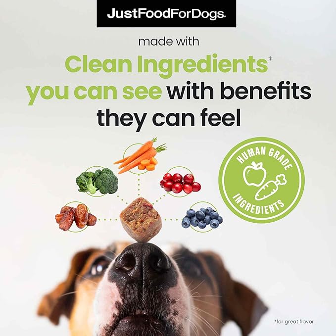 JustFoodForDogs Skin & Allergy Supplement for Dogs, Human Grade Dog Supplements, Skin & Coat Support, Multivitamin Soft Chews, Omega 3 Oil, Superfood Blend, Plant Based Dog Vitamins - 45 Count