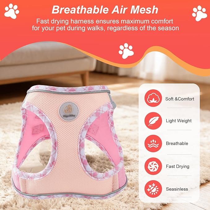 Hipubby Dog Harness Small Sized and Leash Set, No Pull Soft Mesh Puppy Vest, Reflective Breathable Lightweight Pet Harness, Harness for Small Medium Dogs and Cats - Light Pink L