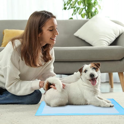 FluffyDream Super Absorbent Waterproof Dog and Puppy Pet Training Pad, Housebreaking Pet Pad,Blue (28"X30"(100PCS))