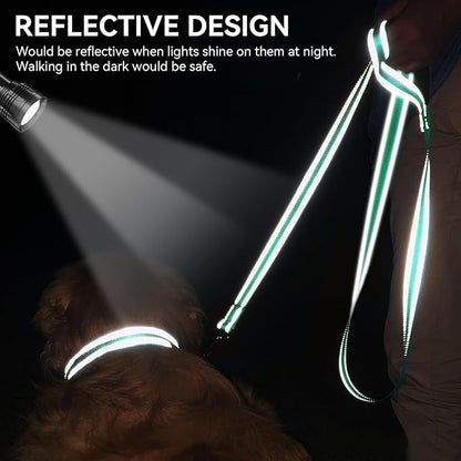 Joytale Dog Leash, 4 FT Double-Sided Reflective, Padded Handle Nylon Heavy Duty Leashes for Medium & Large Dogs Walking, Teal