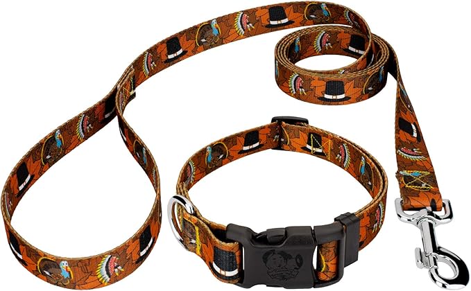 Country Brook Petz - Thanksgiving Tradition Everyday Dog Collar and Leash - Awesome Autumn Collection Featuring Designs You'll Fall for (1/2 Inch, 2XS)