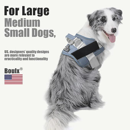 Bolux Dog Harness, No-Pull Reflective Dog Vest, Breathable Adjustable Pet Harness with Handle for Outdoor Walking - No More Pulling, Tugging or Choking (Blue, L)