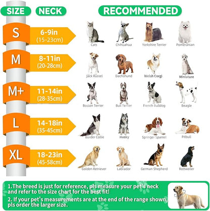 Upgraded Inflatable Dog Cone Collar with Transparent Anti-Licking Shield, Adjustable Elizabethan Collar for Medium Large Dogs, 2-in-1 Design with Detachable Shield and Soft Padding (XL, Lime)