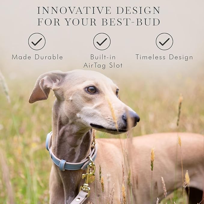 NINA WOOF Cupertino Dog Collars, Harnesses & Leashes Made from Vegan Leather with Dog Tracker Device Holder Adjustable Dog Collar - Color Blue, Large
